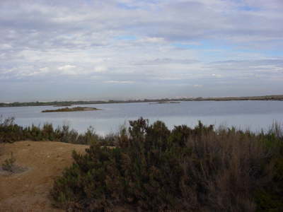 San Pedro