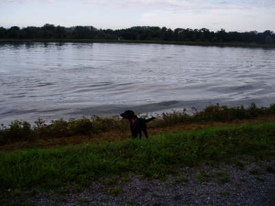 Rhein