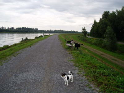 Rhein