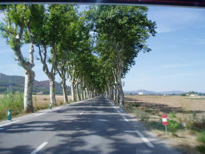 Provence