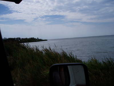 Camargue
