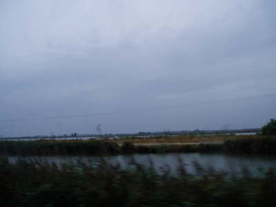 Camargue