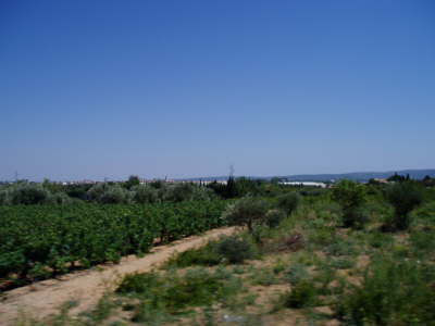 Oppidum LEnserune